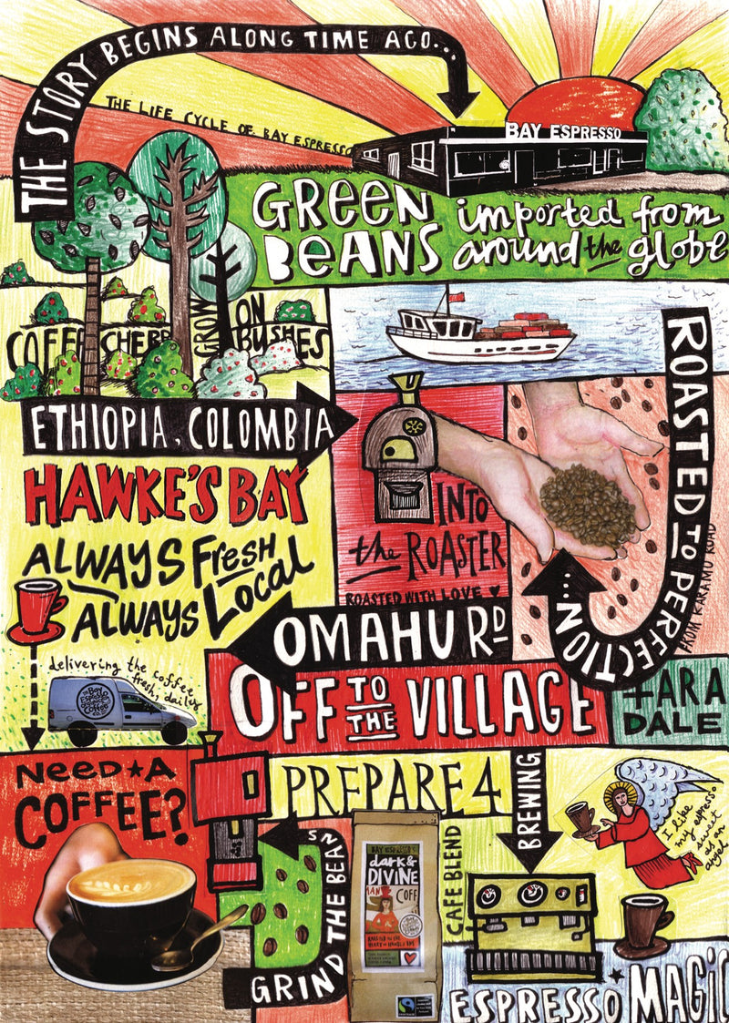 Jonelle Jarvis's hand-drawn illustration of the life cycle of Bay Espresso coffee, from coffee cherries and green beans to the roaster and the cup